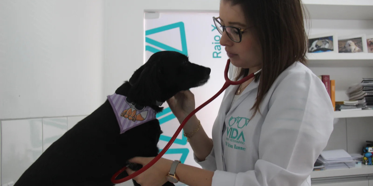 Tomografia veterinária em São Paulo: tecnologia avançada para cuidar da saúde dos animais