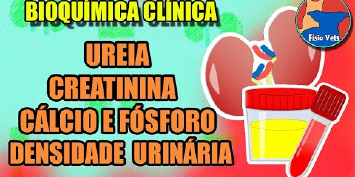 Descubra como economizar nos exames veterinários para seu pet: dicas e orientações essenciais