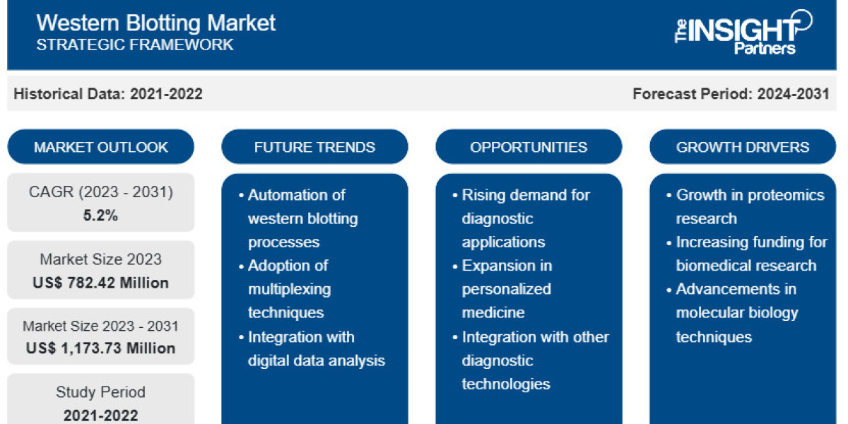Western Blotting Market Poised for Steady Growth Amid Rising Demand for Precision Diagnostics