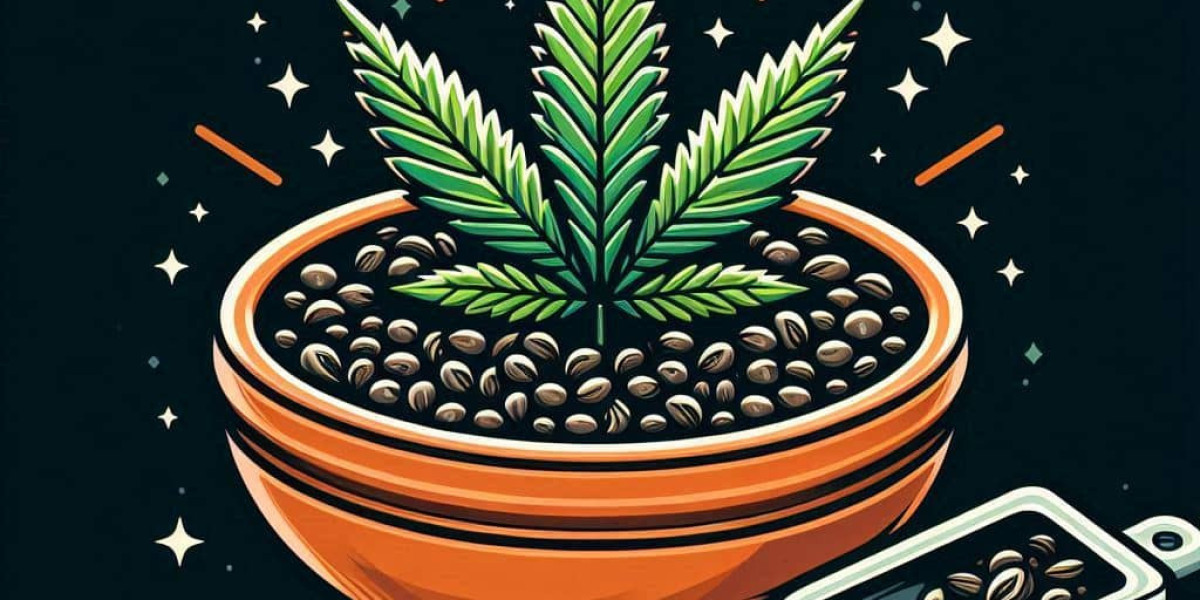 Growing Jack Herer Cannabis Seeds with Hydroponics