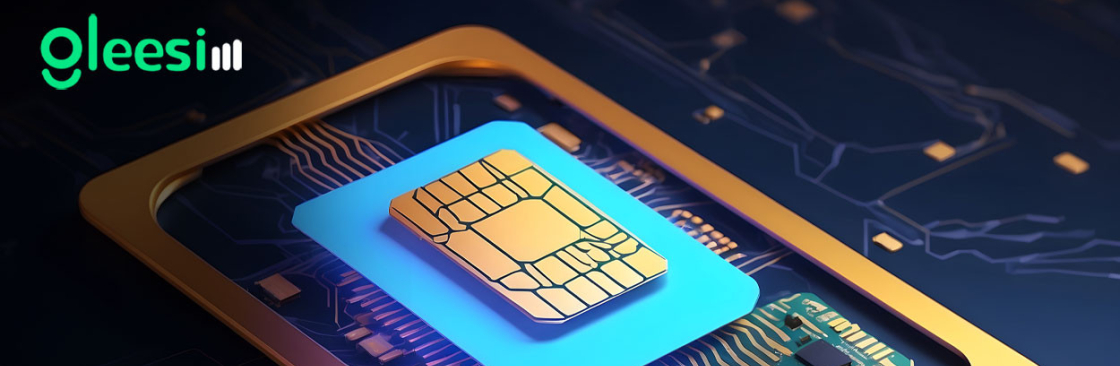 Travelling eSIM Cover Image