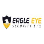 Eagle Eye Security` Profile Picture