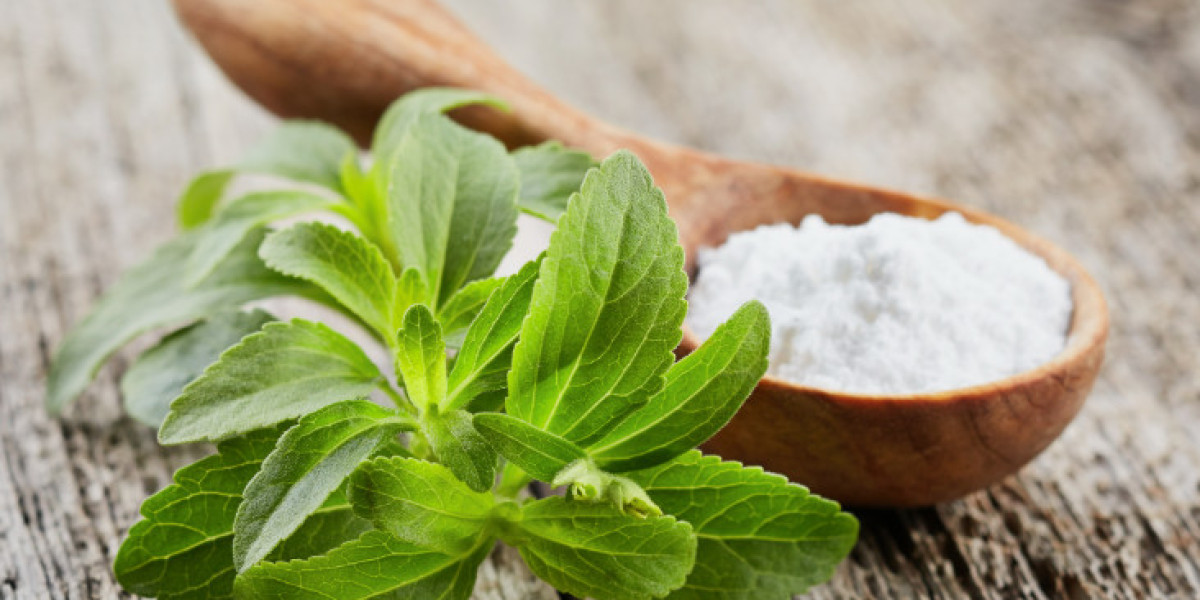 Europe Stevia Market Report: Unlocking Growth Potential and Addressing Challenges