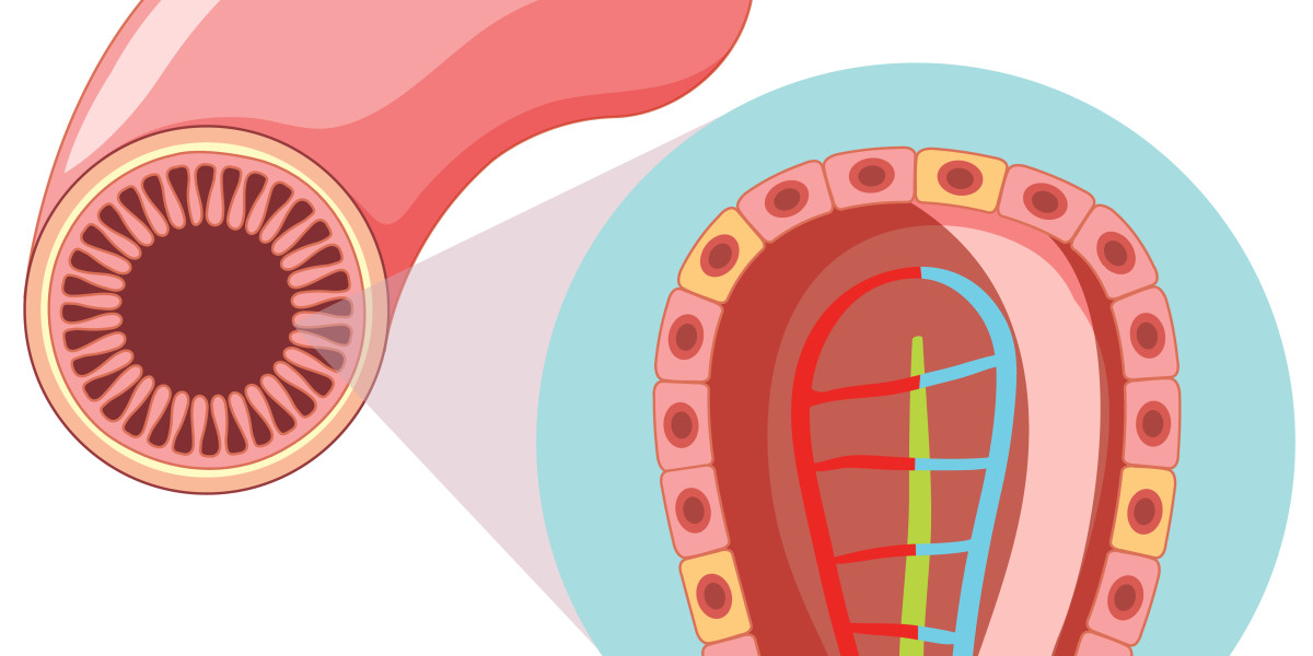 Peripheral Stent Market: Charting the Course of Vascular Intervention