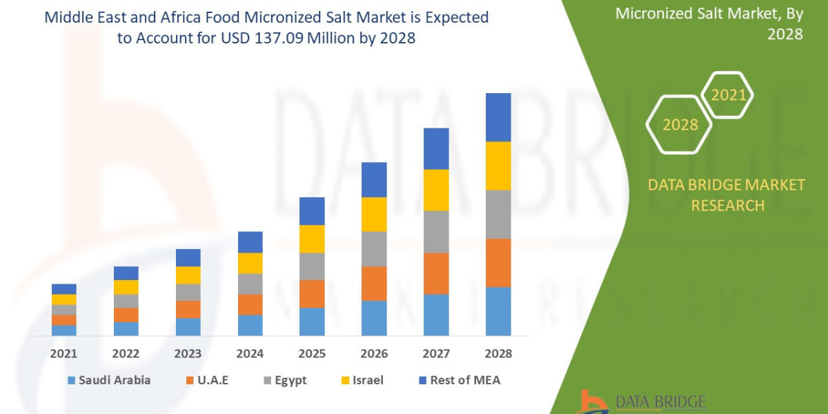 Why Food Micronized Salt Is Popular in MEA Food & Pharma Sectors