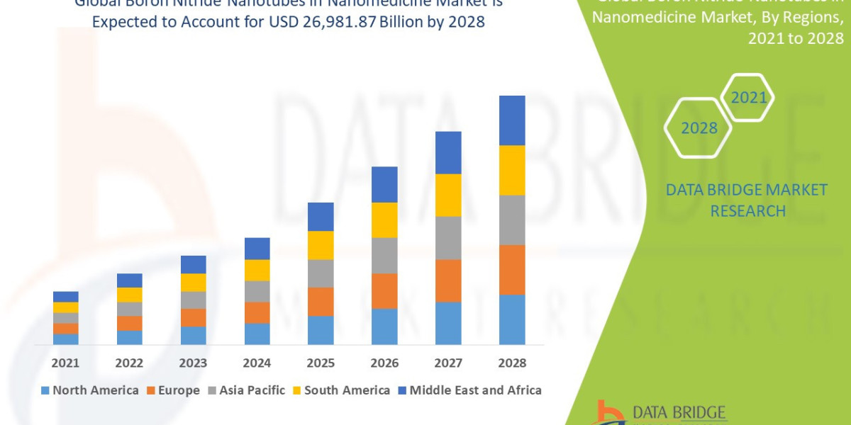 Boron Nitride Nanotubes in Nanomedicine Market Size, Share, Trends, Growth Opportunities and Competitive Outlook