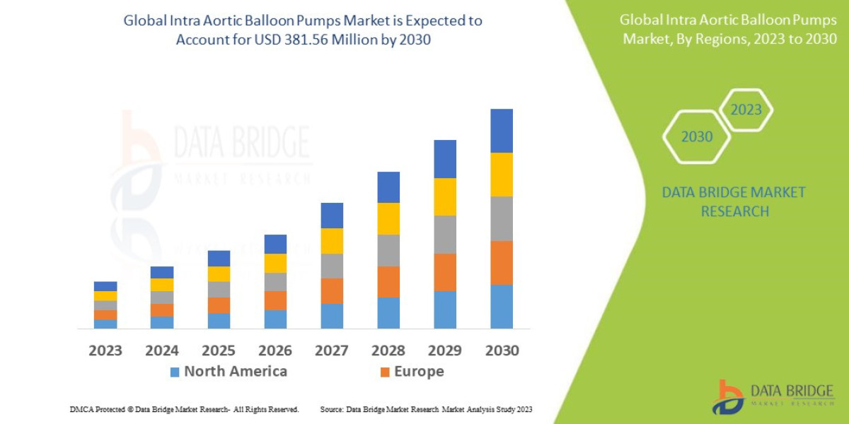 Intra Aortic Balloon Pumps Industry: Landscape and Growth Forecast 2025 - 2032