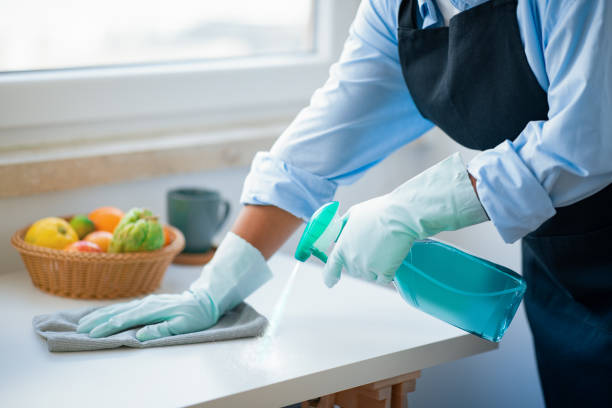 Guide to Hiring a Trained Indonesian Domestic Helper in Singapore