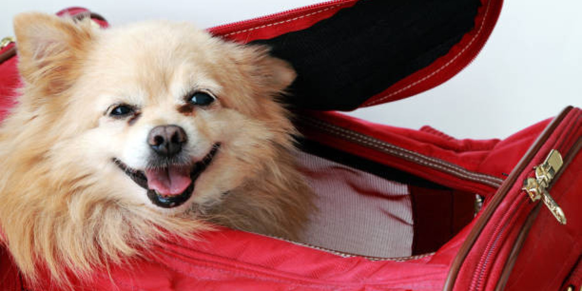 Why a Dog Carrier Is a Must-Have for Every Pet Owner