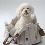 small dog in bag Profile Picture