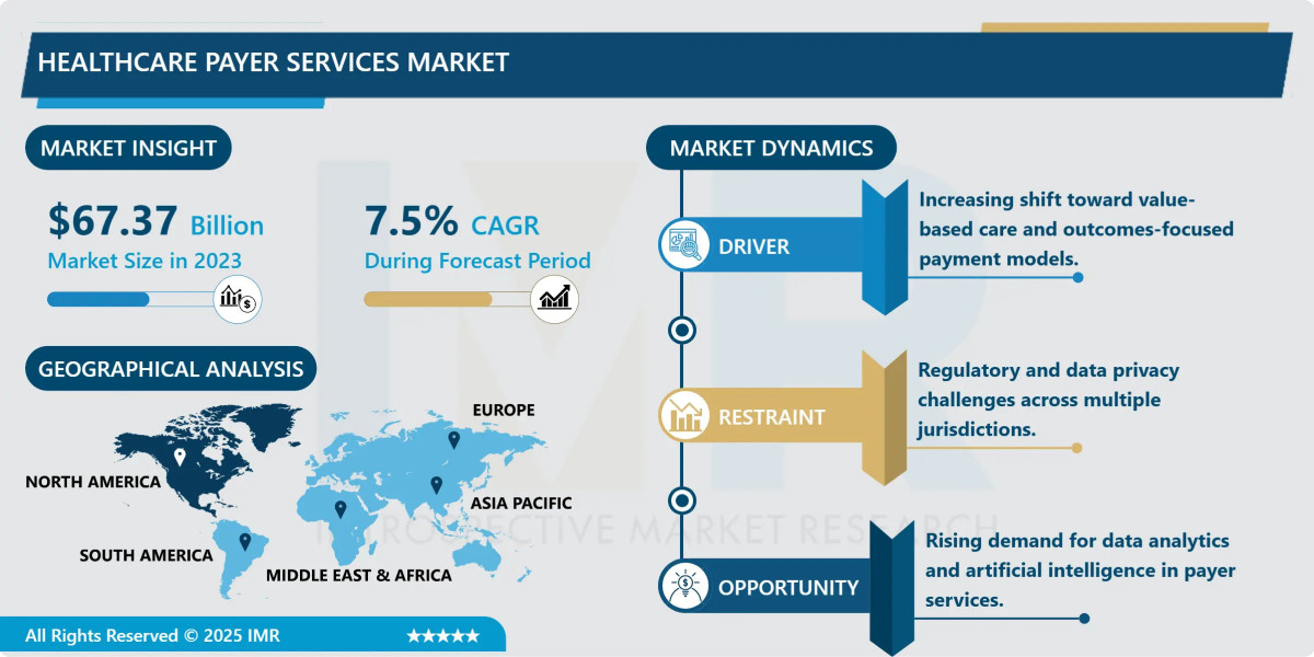 Healthcare Payer Services Market Growth Analysis & Forecast (2024-2032)