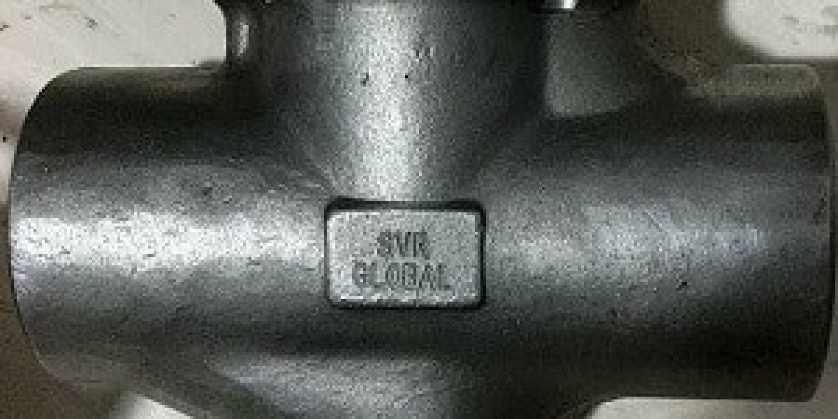 Forged steel check valve supplier in Dubai