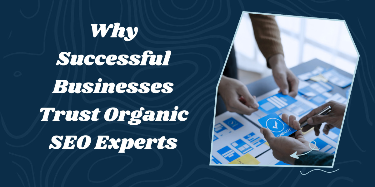Why Successful Businesses Trust Organic SEO Experts