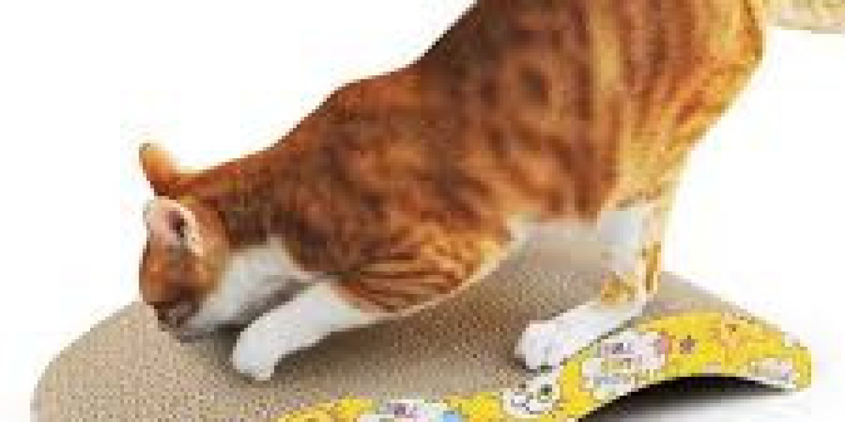 Creative Ways to Keep Your Cat Happy at Home