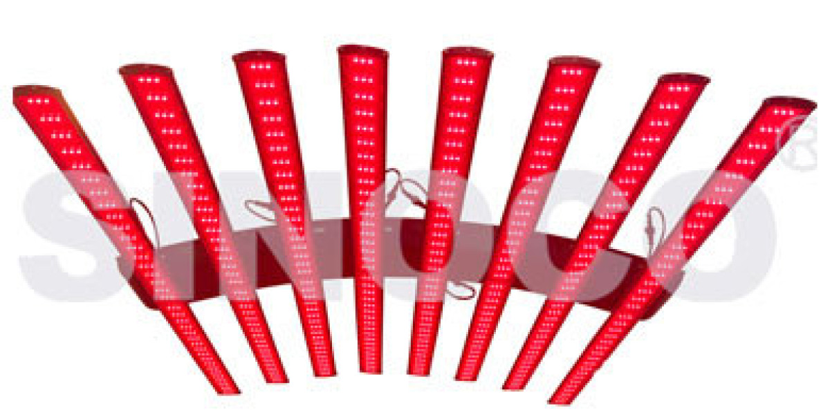 Essential Horse Red Light Therapy: A Complete Guide