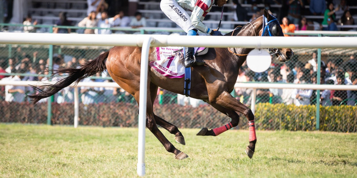 The Future of Horse Racing APIs: Real-Time Data, Odds & Feeds for Betting Innovation