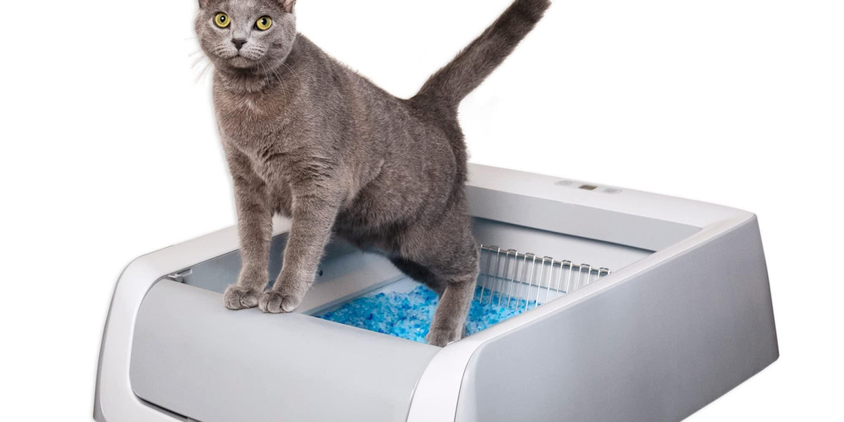 Which Pawtechpet Cat Litter Box Automatic Cleaning Fits Your Home