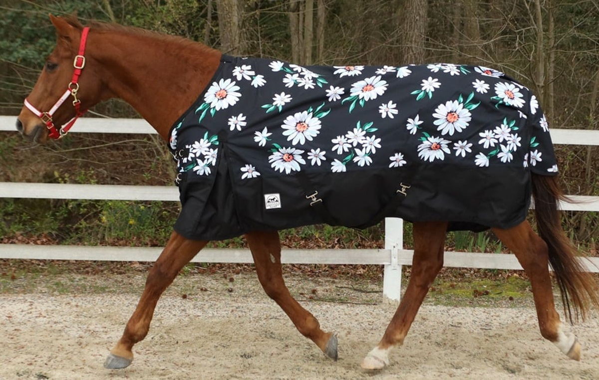 Maximising Your Horse’s Comfort: Choosing the Right Blankets and Sheets – Forward Times