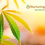 jones noa Profile Picture