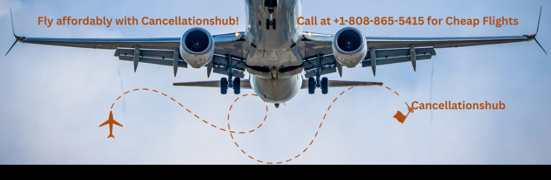 Bell Amyaro Cover Image