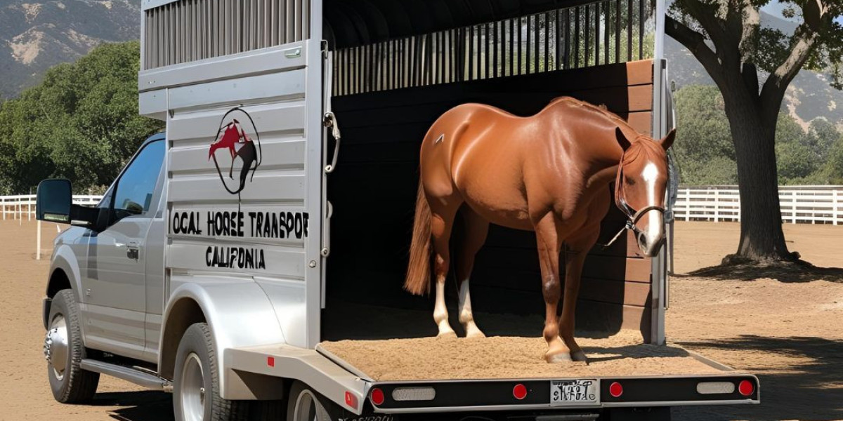 The Ultimate Guide to Horse Shipping in California