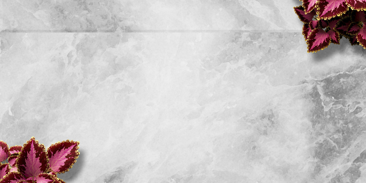 Sky's the Restrict: The Rise Of Luxurious Private Jet Charter Companies