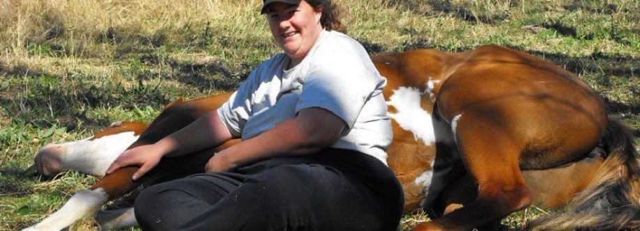 VomSirius German Shepherds Cover Image