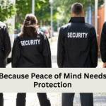 AS securasecurity Profile Picture