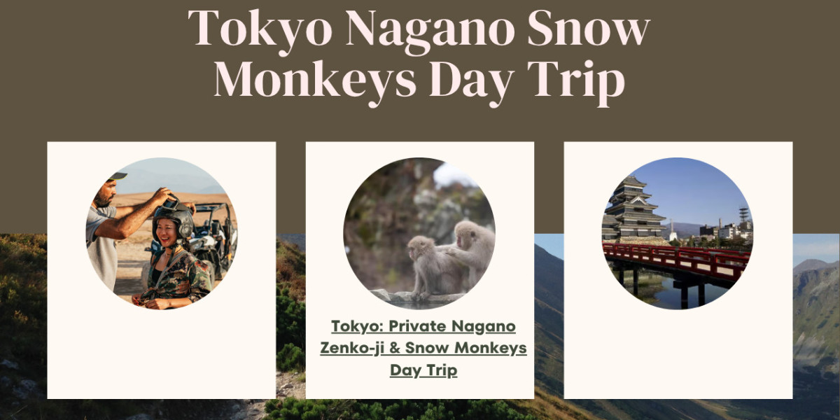 Explore the Magic of Nagano: Tokyo Nagano Snow Monkeys Day Trip Adventure