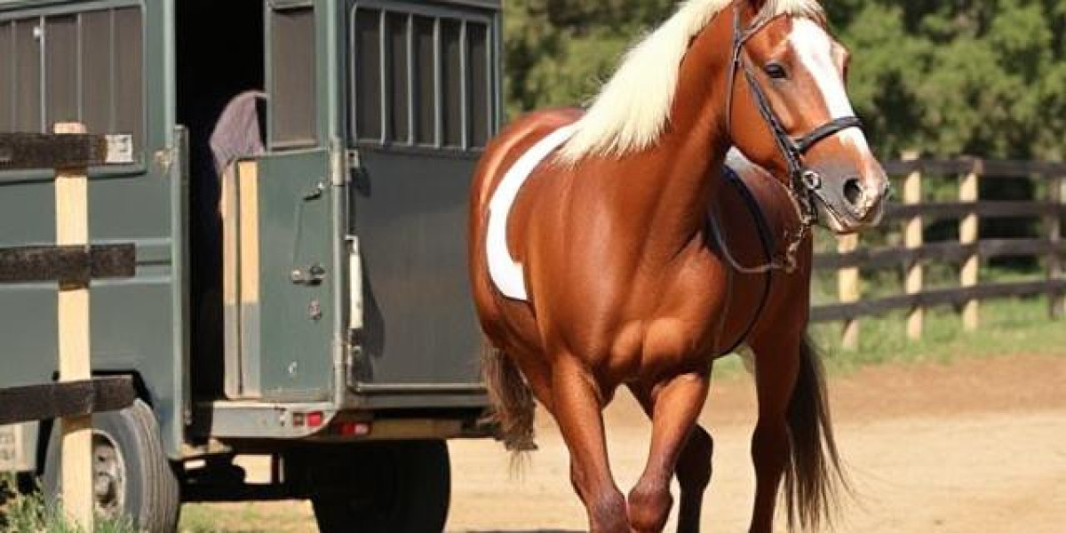 Understanding the Process of Horse Transportation in California