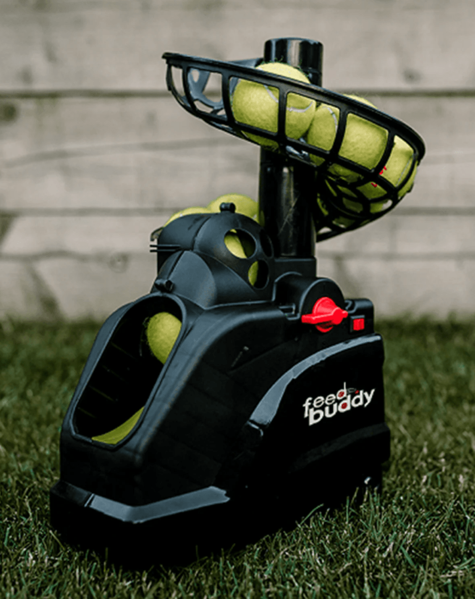 Cricket Training Equipment Essentials: What Every Coach Should Know – Timeless Pages