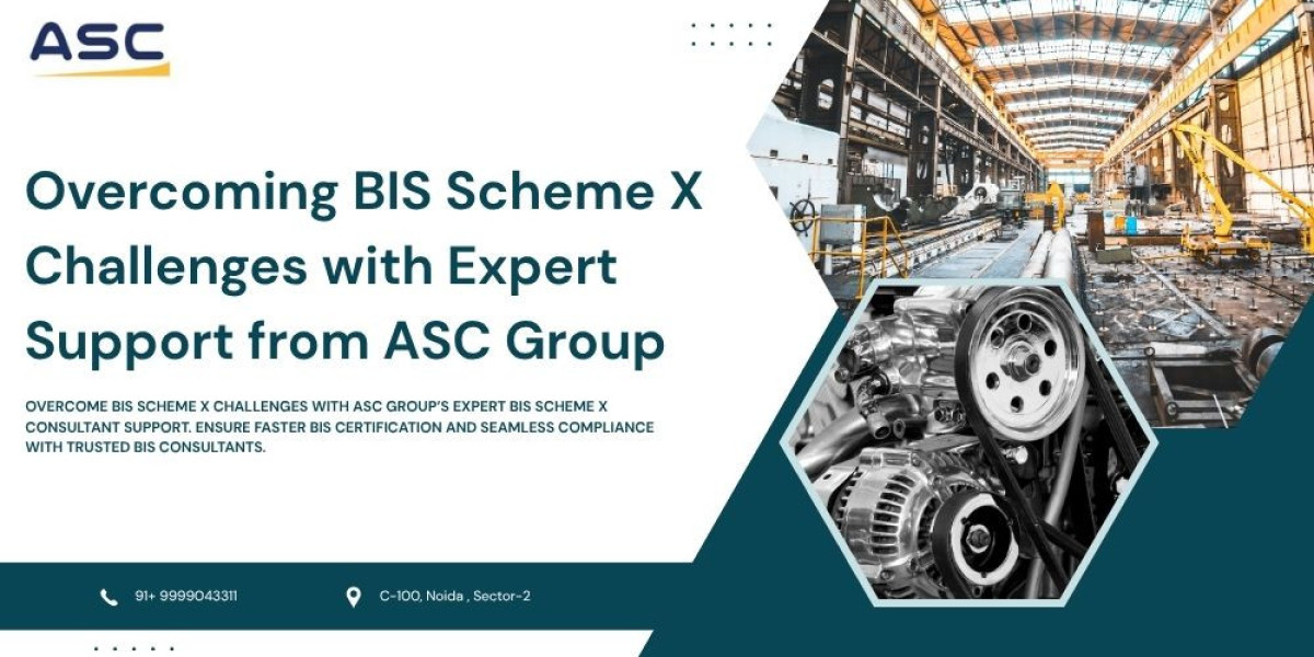 BIS Scheme X Consultant | End-to-End Compliance by ASC Group