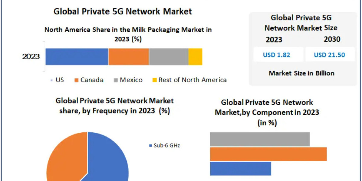 Private 5G Network Market Outlook: Transforming Industrial Automation and Smart Cities 2030