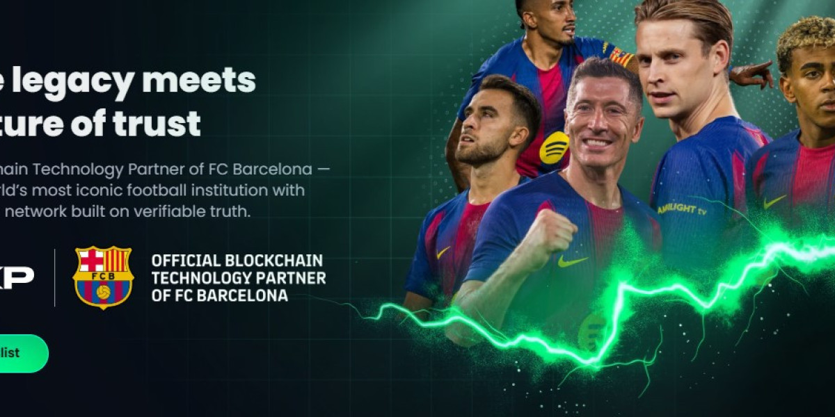 Verifiable, Not Visible: Exploring the Transformative Power of ZK Proofs