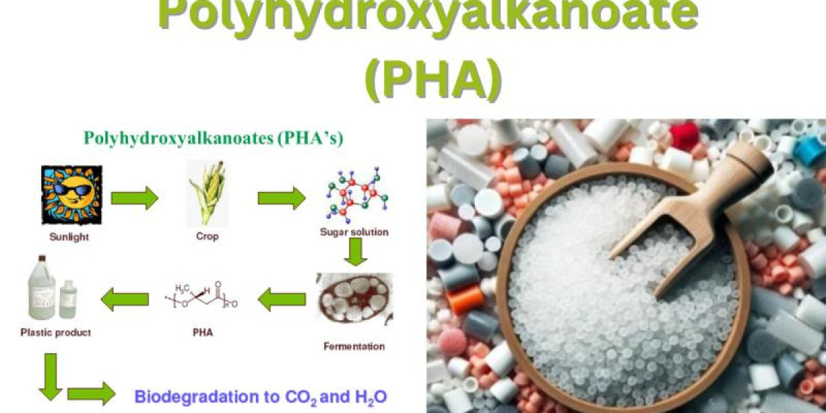 Polyhydroxyalkanoate (PHA) Market to Surpass US$ 480 Million by 2034 Driven by Rising Demand for Biodegradable Plastics