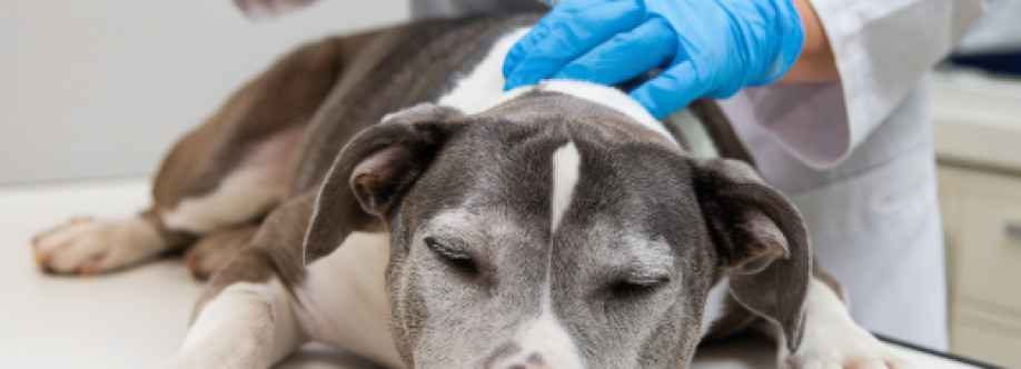 Gentle Pet Passages Cover Image