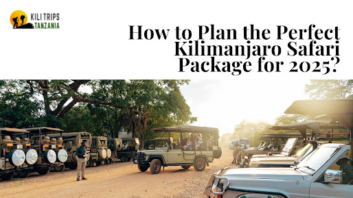 How to Plan the Perfect Kilimanjaro Safari Package for 2025? - Brandies