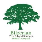 Bilzerian Tree profile picture
