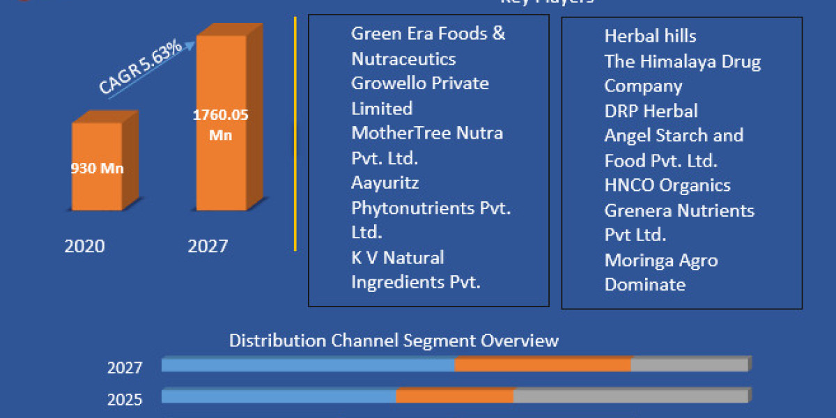 Europe Moringa Supplement Market Analysis: Competitive Landscape and Leading Companies