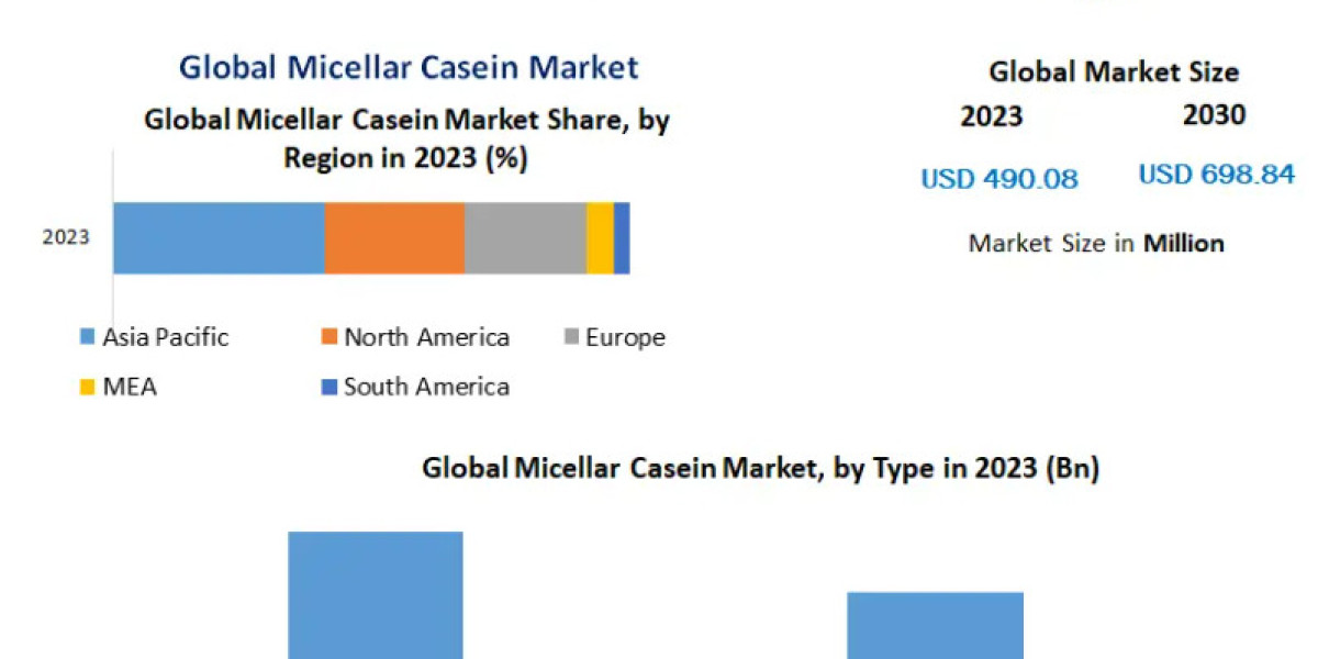 Micellar Casein Market Analysis: Pricing Trends and Cost Structure Evaluation