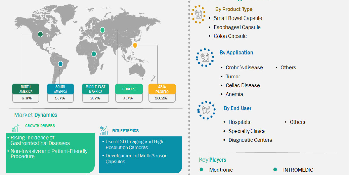 Non-Invasive GI Diagnostics Fuel Capsule Endoscopes Market Expansion