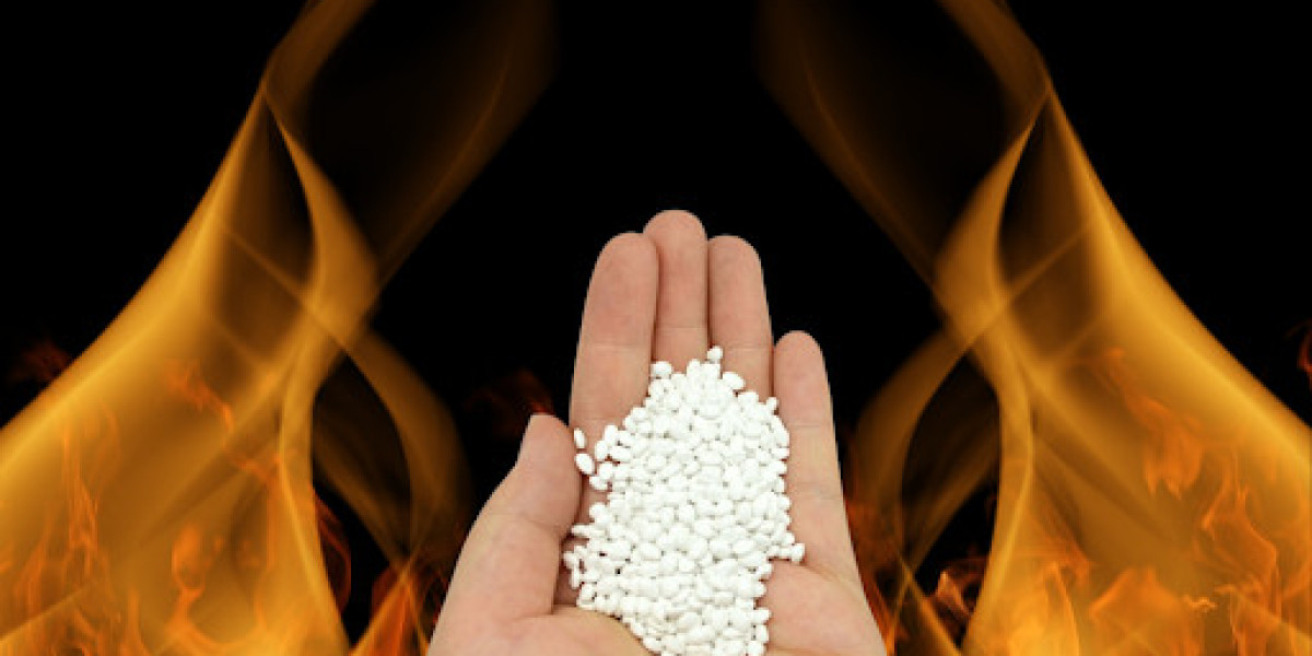 Safety by Design: How Stringent Regulations are Scaling the US$ 2.2 Billion Industry