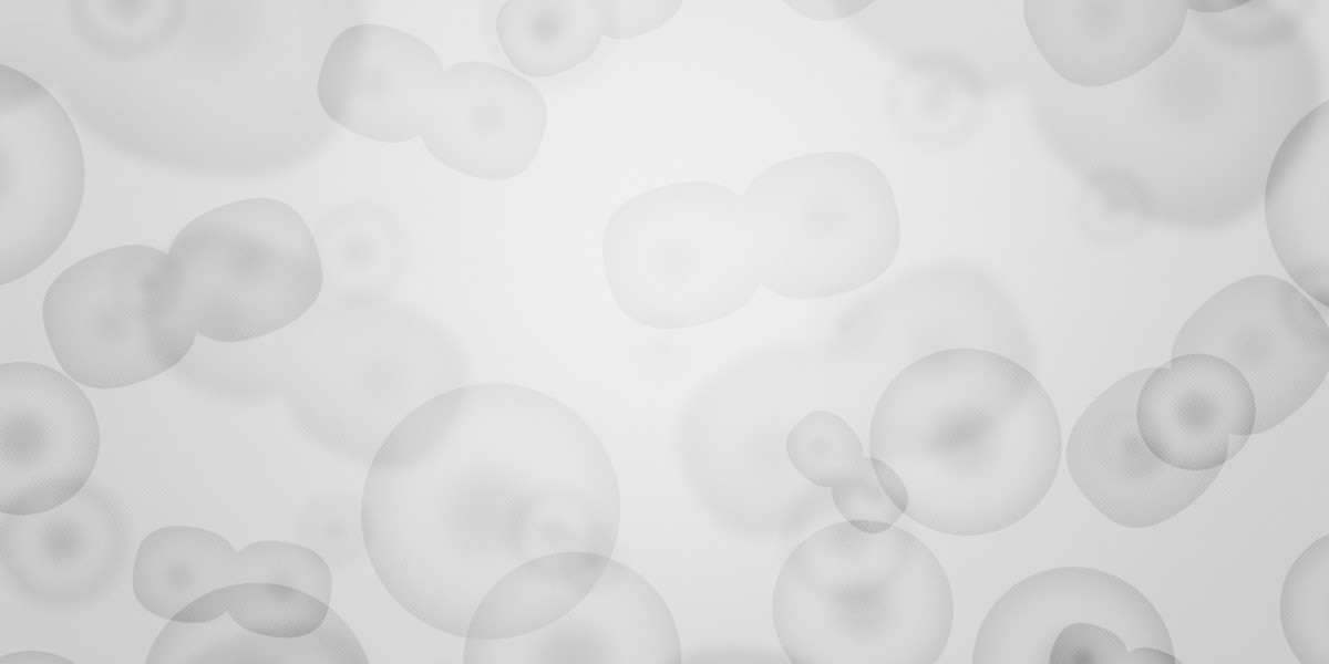 Exploring the Luxury of Private Jet Charters Near You