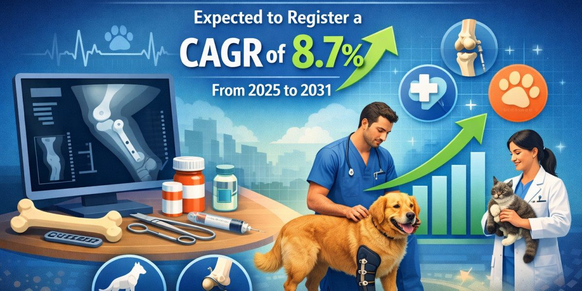 Veterinary Orthopedic Treatment Market Segmentation: Unlocking Growth Opportunities Across Animal Healthcare