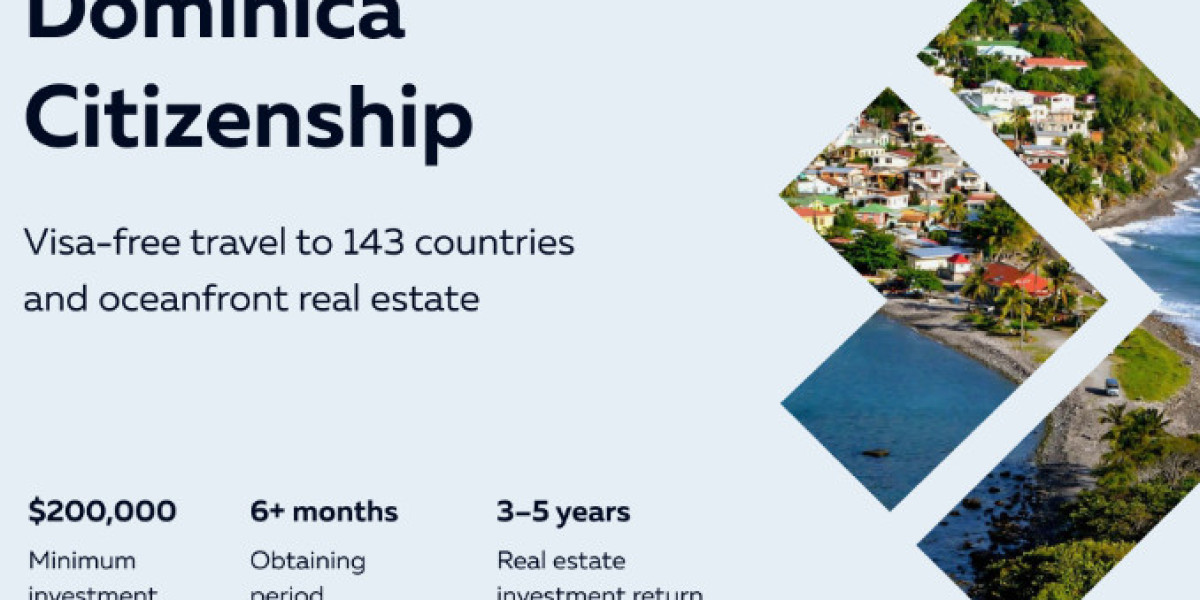 Dominica Citizenship by Investment: The Key to International Access