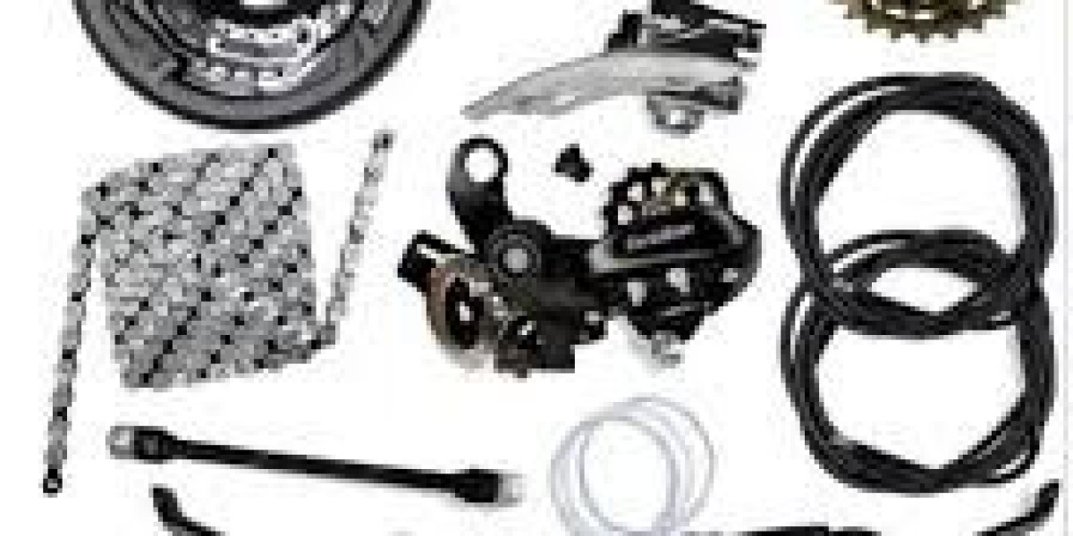 Bicycle Riding Gears Market Expansion Fueled by Cycling Popularity