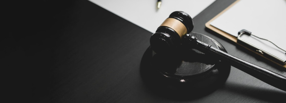 Somerset Litigation Cover Image
