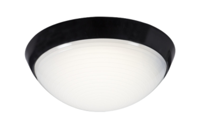 CAPE ELECTRICAL Profile Picture