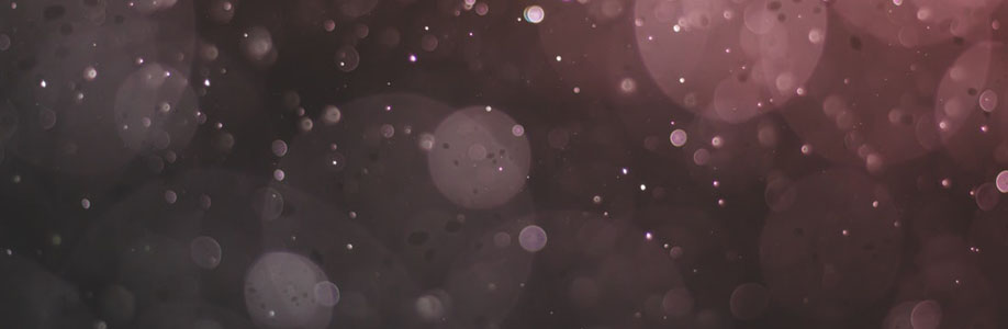 fallonchiu184 Cover Image